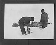 Dene men ice fishing, with sled and dogs in the background, Great Slave Lake, Northwest Territories n.d.