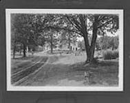 Driveway and Superintendent's Residence, Experimental Farm, Charlottetown, P.E.I