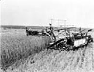 Farmall operating McCormick-Deering 10-foot tractor binder on farm of J.H. Hunter near Hodgeville, Sask