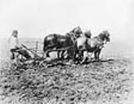 Indian ploughing on Reserve ca. 1920
