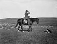 Herder and sheep ca. 1920 - 1930