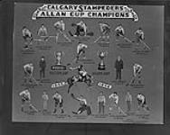 Calgary Stampeders. Allan Cup Champions. 1945-1946 1945-1946