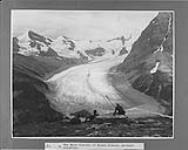 The Main Glacier of Mount Robson, B.C n.d.