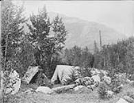 Camp at Torrent bed (Horse Creek) Columbia Valley, 5 miles above Kicking Horse River, B.C., Sept. 20, 1883 20 Sept. 1883