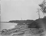 Dog Head Point, Lake Winnipeg, Man 1884