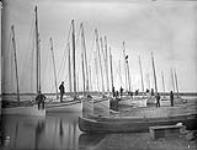Fishing boats in Swampy Harbour, Man 1889