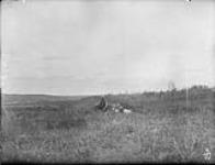 Ruins of Grant's House, Assiniboine River, Man 1890