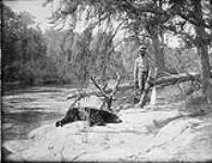 [Man with deer and bear] 1891