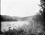 Looking down Pine River, B.C Aug., 1875