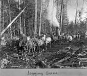 Logging scene in British Columbia n.d.