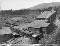 Stamp Mill, Consolidated Gold Mining and Milling Co. Camp McKinney, B.C n.d.