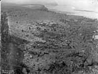 North Rookery, St. George's Island, (Bering Sea) July 10, 1897