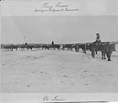 Ox train loading at Calgary for Edmonton, Alta., 1886 1886.