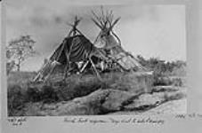 Birch-bark wigwam, Dog Head [Point], East side of Lake Winnipeg, Man 1890