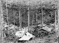Lumbermen's camp, near Revelstoke 1886