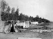 Camp de travailleurs chinois  1886