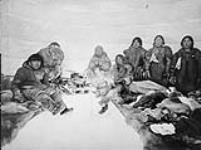 Group of unidentified Inuit women [between 1903-1904].