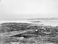 Blacklead [Island], Cumberland Gulf, N.W.T., [Sept. 1, 1904]