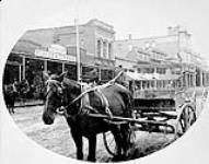 Street at Victoria, [B.C.] 1886