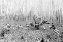 Bear trap in poplar forest, South of Birch Lake, Man Oct. 18, 1897