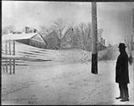 [Toronto, Ont.] Effect of storm, on Ont. St. S. Wilton looking north Jan. 24, 1896