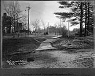 [Toronto, Ont.] Cluny Ave. and Crescent Road looking east Nov. 13, 1901