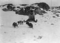 Inuit boy training husky puppies, Hudson Strait Expedition, Port Burwell, Quebec [Nunavut], November 1927 November 1927.