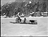 (Hudson Strait Expedition). Komatik near Base 'C' 1828