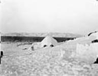 (Hudson Strait Expedition). Husky dogs and igloo, Wakeham Bay, Quebec [Nunavut], November 1927 November 1927.