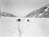 (Hudson Strait Expedition). Team of huskies heading out on ice, Wakeham Bay, Quebec [Nunavut], December 1927 December 1927.