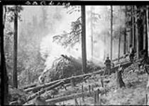 Wetting the forest down while burning slash on right-of-way. Big Bend Columbia Highway, September 1932 Sept. 1932