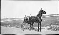 Horse and sulky ca. 1910
