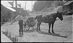 Horse and cart ca. 1910
