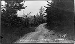 Coming down Ward's Hill ca. 1910