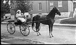 Horse and buggy 1910