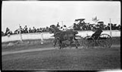 Horse and buggy at Fair grounds ca. 1910