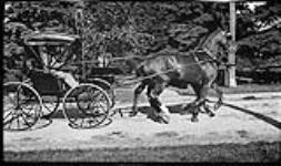 Horse and buggy ca. 1910