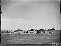 Dog Island, St. Pierre 1933