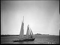 [Fishing schooner, North Sydney, N.S., 1933.] 1933