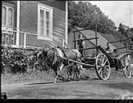 Ox cart near Grondines, P.Q., 1934 1934