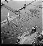 [Sorting timber, Gatineau Point, P.Q., 1934] [1934]