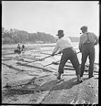 [Sorting timber, Gatineau Point, P.Q.] [1934]