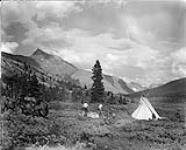 Sunwapta Pass from base of Wilcox Pass, Banff National Park, [Alta.], Aug. 1934