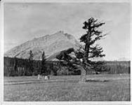 Golf course near Cascade Mountain, Banff National Park, Alta., ca. 1924