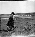 [Tsuut'ina (Tsuu T'ina/Sarcee) woman on the Reserve near Calgary, Alberta]. Original title: Sarsi Indian Squaw on the Reserve near Calgary, Alta. 1914