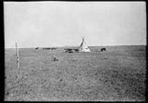 Teepee on Blackfoot Reserve, Gleichen, Alta Aug., 1935