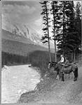 Along Spray River with Mount Rundle [in the background] Banff National Park, Alta Sept. 1928