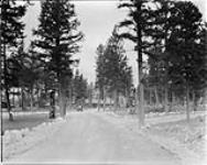 Tar road from Station to Lodge, Jasper National Park, Alta Oct., 1927