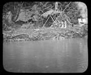 Sproat Lake Camp, [Clayoquot District Vancouver Island, B.C., c. 1910] [ca. 1910]