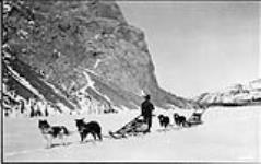 Dog teams carrying mail 1923